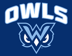 Owls Logo Navy Background